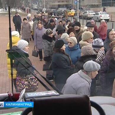 Калининградцы проверили уровень сахара в крови в мобильном центре здоровья
