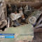 Названы имена членов экипажа штурмовика Ил-2, фрагменты которого нашли в Багратионовском районе