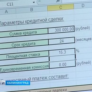 Калининградские «Вести» рассказывают, как правильно воспользоваться микрозаймом
