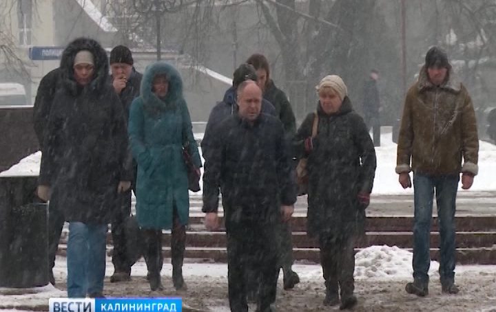 Синоптики обещают Калининграду ночные морозы и плюсовую температуру днём