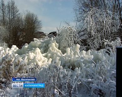 Как жители калининградской области встретили февральские морозы