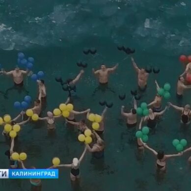 Калининградские «Янтарные моржи» изобразили олимпийские кольца в ледяной воде