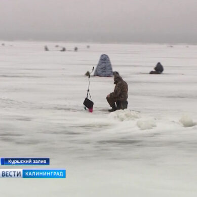 Состояние льда на водоёмах Калининградской области оценили с высоты птичьего полёта