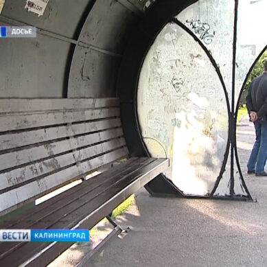 Испорченные вандалами автобусные остановки в Калининграде отремонтируют к ЧМ-2018