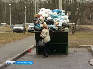 В 2018 году выберут двух операторов по работе с отходами в Калининградской области