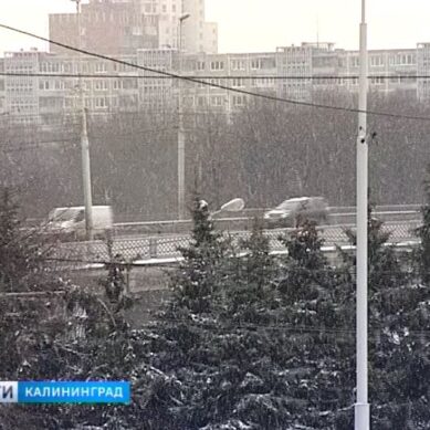 В Калининградскую область вернулись морозы