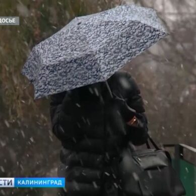 В Калининграде ожидается снег