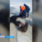 Спасатели обнаружили тело погибшего рыбака на Куршском заливе