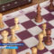 В Нивенском состоялся областной шахматный турнир