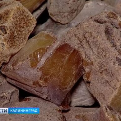 В Калининградской области намерены создать янтарный кластер