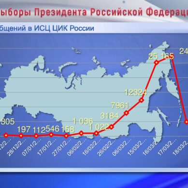 ЦИК представил анализ сообщений, поступивших на горячую линию