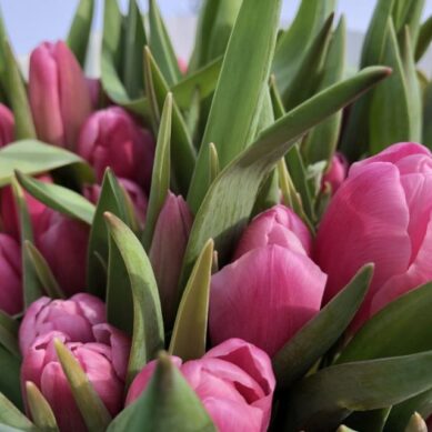В преддверии Восьмого марта в Калининград пришло уже более 7 млн цветов
