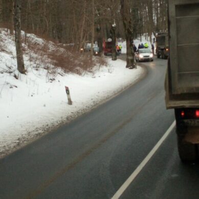 На дороге между Каменкой и Кумачево мусоровоз врезался в дерево