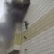 По предварительной информации при пожаре в торговом центре в Кемерово погибло четверо детей