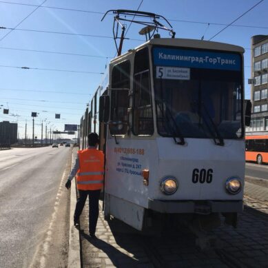 В Калининграде запустили трамваи через остров Октябрьский