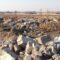 Жители Константиновки жалуются на свалку из строительного мусора
