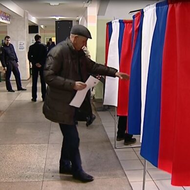 К полудню в Калининградской области проголосовал почти каждый четвертый избиратель