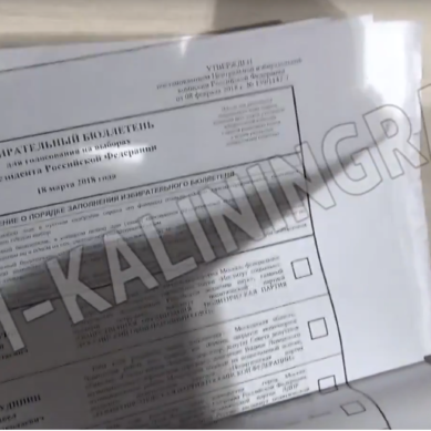 Источник: «В калининградском штабе Навального обнаружили избирательные бюллетени»