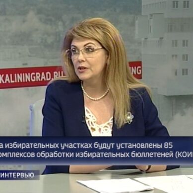 Инесса Винярская: «Для  проведения выборов созданы максимально благоприятные условия»