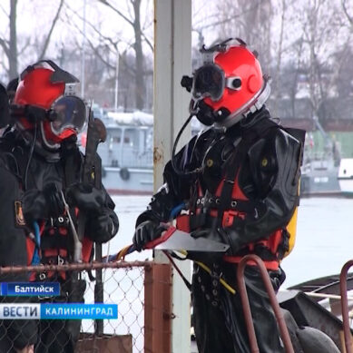 В военной гавани Балтийского флота военные ныряльщики соревнуются в водолазном многоборье