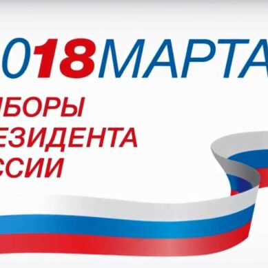 Выборы президента России: ход и итоги голосования в прямом эфире