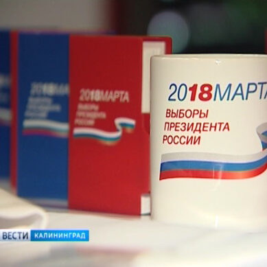 В Калининградской области на выборах президента России будут раздавать сувениры