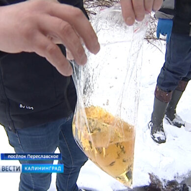 Жители посёлка под Зеленоградском: «Вся вода в солярке, можно заливать в бак»