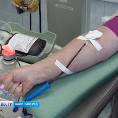 В эти минуты на станции переливания крови проходит акция «Леди-донор»