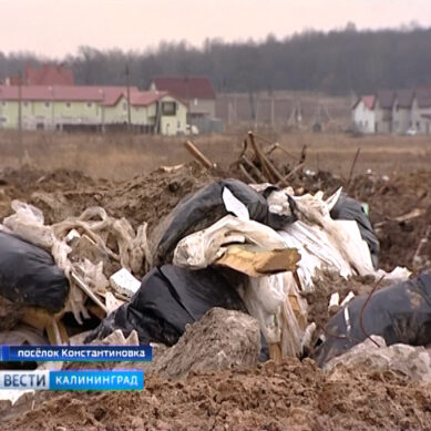 Нелегальную свалку в самом центре посёлка Константиновка уже проверяют надзорные органы