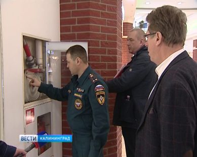 В Калининграде обнаружили противотанковую мину времён Великой Отечественной войны
