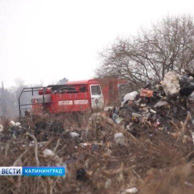В Краснознаменске загорелся полигон твёрдых коммунальных отходов