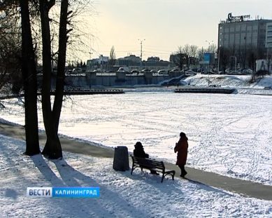 Синоптики обещают плюсовую температуру в Калининграде