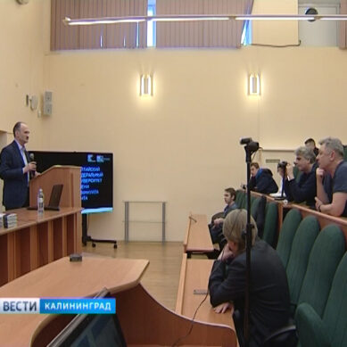 Калининград посетил депутат Европарламента для обсуждения отношений России и ЕС