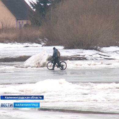 С начала этого года в Калининградской области уже провалились под лёд более 20-ти человек