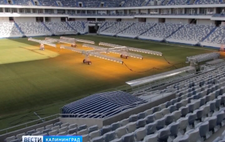 Представители ФИФА проверят стадион «Калининград»