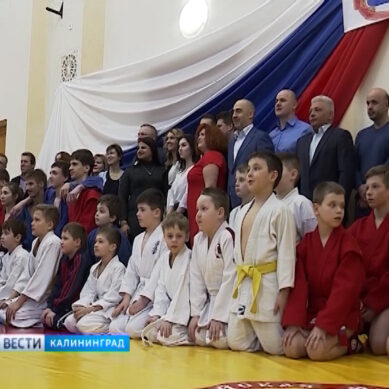 Балтийск присоединился к всероссийской программе «Самбо в школу»