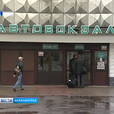 В дни тестовых матчей в Калининграде введены дополнительные автобусные рейсы