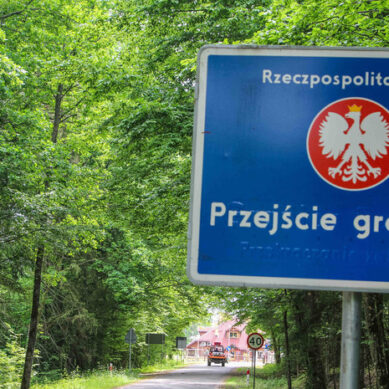 Европейский суд признал незаконной вырубку Польшей части Беловежской пущи
