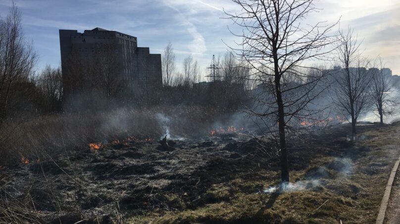 В Калининграде на улице Петра Панина горит трава