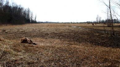 СКР проверит ферму, где калининградские «Вести» нашли мёртвых оленей