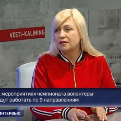 Татьяна Васильева: «На чемпионате мира по футболу будут работать 1300 волонтёров»