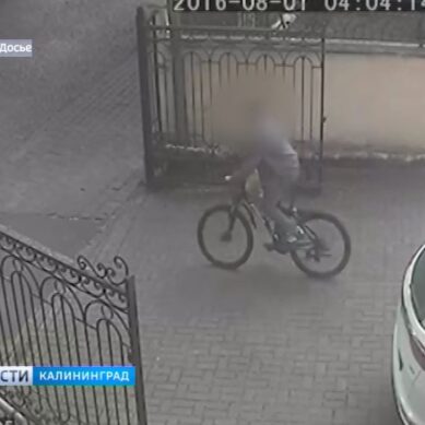Полиция рекомендует калининградцам следить за своими велосипедами