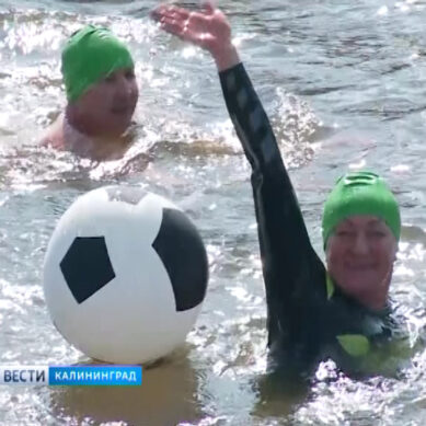 «Янтарные моржи» устроили заплыв по Прелоге в честь ЧМ-2018