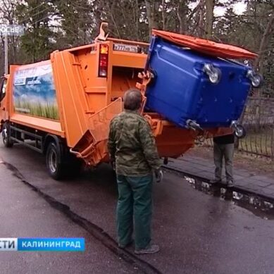 Управляющие компании МКД в Калининградской области предпочитают экономить на сборе опасных отходов