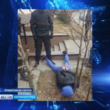 Калининградские полицейские задержали крупного сбытчика амфетамина