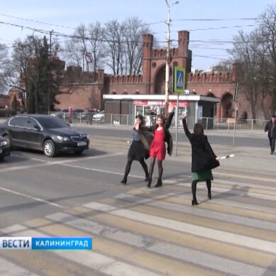 В Калининграде прошла акция «Интеллигентный пешеход»