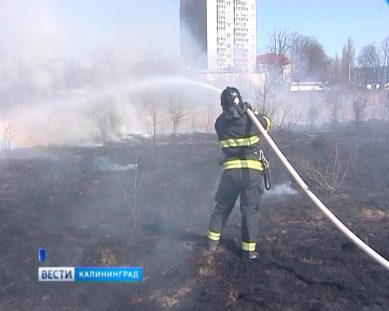 Бойцы пожарной дружины «Вести-39» приняли участие в тушении масштабного возгорания