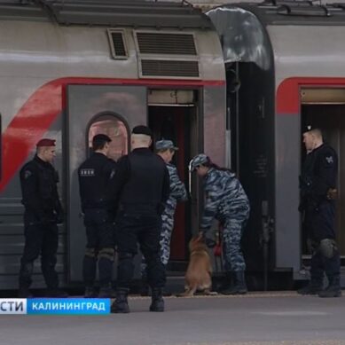 В Калининграде из-за учений на Южном вокзале эвакуировали пассажиров