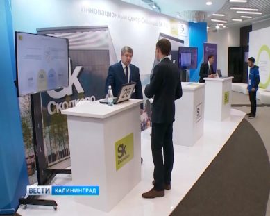 Правообладатели ударят по онлайн-казино