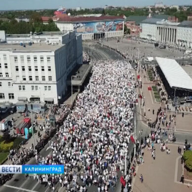 Шествие «Бессмертного полка» в Калининграде собрало свыше 80 тысяч человек